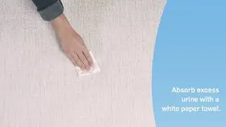 REMOVING URINE STAINS FROM UPHOLSTERY FABRIC