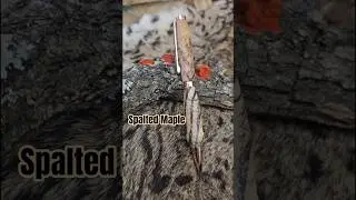 Spalted Maple #woodturning #penturning #woodworking #handmade #custompens #edc#oddlysatisfying #asmr