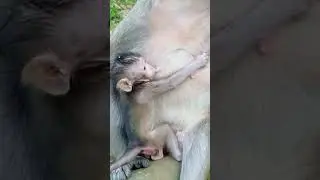 VID20221116170841