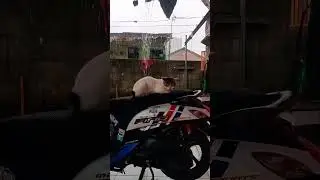 pupus bersama hujan alhamdulillah