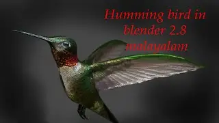 How to make a humming bird in blender 2.8 and introduction to bump in Malayalam