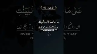 Surah Ta-Ha Verse 72 | Beautiful quran recitation | Tilawat Quran...#quran #quranrecitation