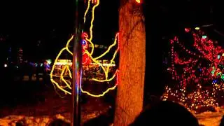 Denver Zoo Train and Lights