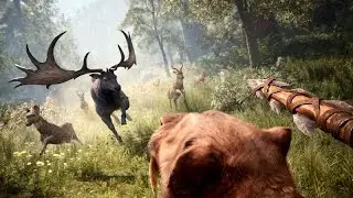 Far Cry Primal on R7 240 A4 6300 8GB RAM