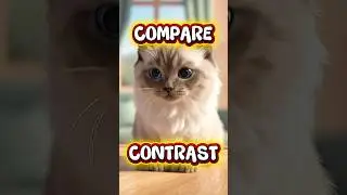 COMPARE vs CONTRAST in 90 Secs! 🧠 Alike & Different for Kids! #Vocabulary