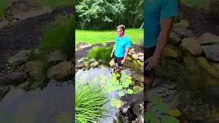 The power of a wetlands filter! 🪄