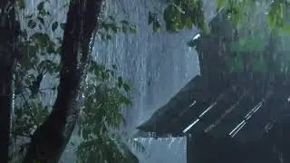 Instant Deep Sleep: 10 Hours of Heavy Rain on Window for Insomnia Relief & Cozy Vibes