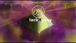 BlackHusky - Phantasy