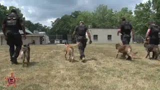 Secret Service Officers Work With K-9s