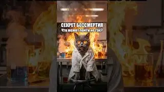 Лекция о бессмертии пошла не по плану 🔥 Леденцы Revyline SWIT KSILIT WB: WW286097 Ozon: 3248433508