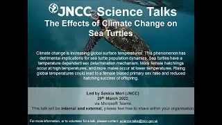 The Effects of Climate Change on Sea Turtles
