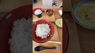 しらす丼食べに伊良湖へ#shorts #しらす丼 #食事 #shortvideo #伊良湖 #長栄