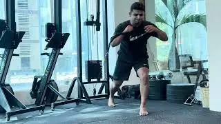 anterior oblique subsystem / front functional line