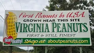 Virginia Peanuts Started In The 1600s! Here's A 4th Generation Farmer