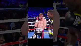 Canelo Alvarez - ART OF DEFENSE