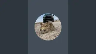 Scramble North is live!