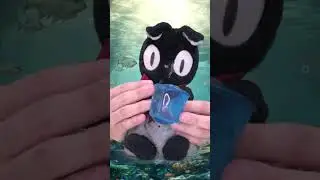 Kuro&rsquo;s Water Squeeze ASMR &ndash; Relaxing Plush Cat Short 🌊🐾
