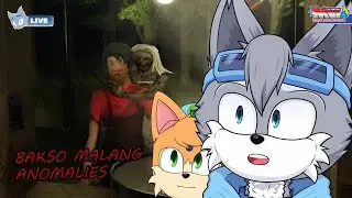 【BAKSO MALANG ANOMALIES】SEREMNYA JUALAN BAKSO DIMALAM HARI!! - Alka Ch. [ Mobian Vtuber ID ]