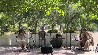 Ensemble Zellig: Robert Schumann&rsquo;s &ldquo;Bird as Prophet&rdquo; (Scene &eacute;ph&eacute;m&egrave;re, Parc St.-P&eacute;rine, Paris)