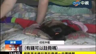 中視新聞》夫過世沒錢下葬 外配顧腦麻兒待援