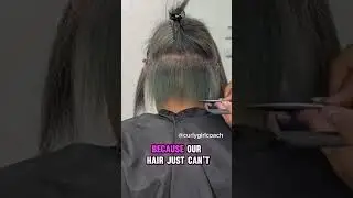 Big Chop Alternatives: Gradual Cutting Treatments for Damaged Hair Recovery | Transitioning Natural