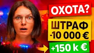 RedNews: 2 штрафа, 1 грант и новая виза: как зарабатывать на испанских новостях