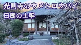 光則寺のウメとロウバイ　日朗の土牢　(鎌倉市長谷)