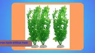 The Top 3 Best Aquarium Plants To Buy In 2018 - Aquarium Plants Reviews