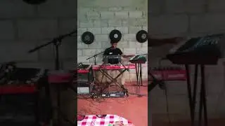 Flor de campo - Alexis jr 