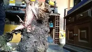 Torno manrod 1218 confeccionado um pilao