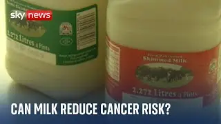 How effective is cow's milk in cutting bowel cancer risk?