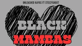 The Unleashed Kayos - Black Mambas ft Steezyghoxt ( Official Visualizer)