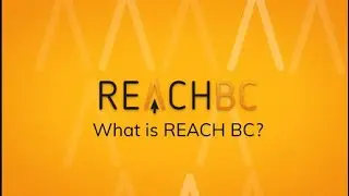 What is REACH BC?