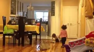 Torah dancing