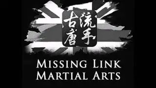 Martial Arts Seminar  Tradition to Realism