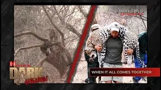 Когда всё складывается воедино, я смотрю сериал 