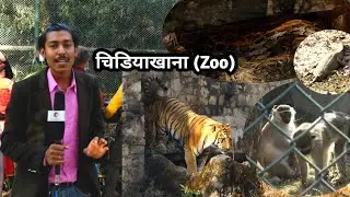 चिडियाखानामा भेटियो अनौठो जनावर काठमाडौंमा रहेको सुन्दर चिडियाघर/Kathmandu Zoo
