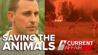 Brave staff save zoo animals in path of bushfire | A Current Affair