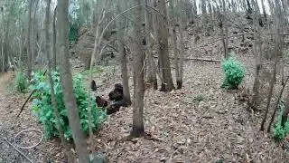 Airsoft en bosque Fuerte Alcazar, Punta de Parra-Chile