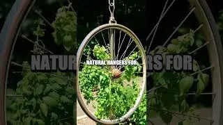 Crafting an Herb Drying Rack from Recycled Bicycle Wheels