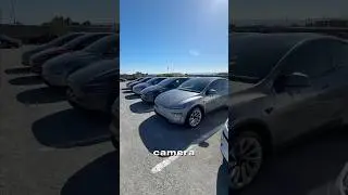 Tesla - Model Y Launch Series