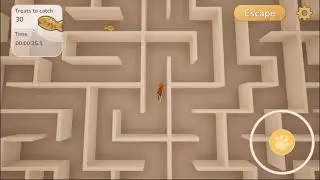 Purrfect Maze
