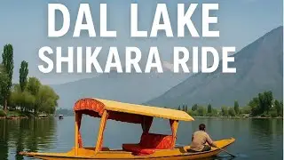 Dal Lake Tour Path | Shikara Ride & Scenic Walkways of Srinagar