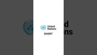 UN Revised Budget Update: Shrinking Resources and Targeted Reductions