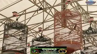 PERTAMA KALI DI JAK-SEL BATTLE MURAI BATU ( LH TEAM feat DMP PART 2 )
