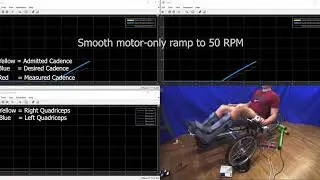 Split-Crank Functional Electrical Stimulation Cycling: An Adapting Admitting Rehabilitation Robot