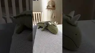 Shared Nursery and Kid Room Inspo