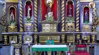 Live || Saturday, November 12, 2022 | 6:00 pm - The celebration of the Holy Mass.