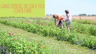 Grand Opening for our UPick Flower Farm!| Flower Farming