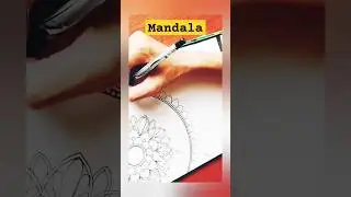 Drawing mandala art#stepbystep#reverse#begginers#trending#therapeutic#shorts#aestheticRounder
